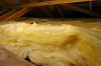 Marian pitch roof insulation